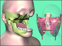 Transplantacja twarzy: wyzwania dla chirurga