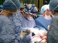 Kamienie milowe rozwoju transplantacji serca, płuc w Polsce - zabrzańskie doświadczenia i wyniki leczenia 880 chorych dorosłych i dzieci z nieodwracalnym uszkodzeniem serca, płuc