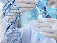 Pomijanie matki w testach DNA ustalających ojcostwo może prowadzić do błędu